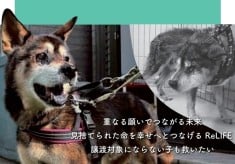 重なる願いでつながる未来。見捨てられた命を幸せへとつなげるReLIFE。譲渡対象にならない子も救いたい。
