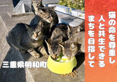 めいわ地域猫プロジェクト