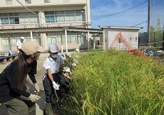 子どもたちの“やりたい”学びを叶えるプロジェクト