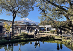 世界遺産の景観を守れ！！忍野八海「湧池橋」橋梁補修レベルⅢ判定。忍野八海の美観と安全を守る。