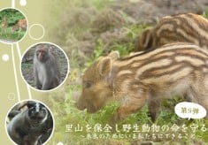 【第９弾】里山を保全し野生動物の命を守るー未来のためにいま私たちにできることー