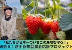 【私たちが日本一のいちごの産地を守る！】頑張る若手新規就農者応援プロジェクト