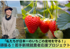 【私たちが日本一のいちごの産地を守る！】頑張る若手新規就農者応援プロジェクト