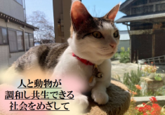 【第９弾】猫の不妊・去勢支援で不幸な猫の命を守りたい「人と動物が共生できる社会をめざして」
