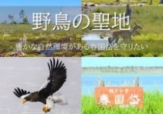 ラムサール条約湿地の「野鳥の聖地」春国岱の豊かな自然環境を守る！