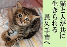 【猫と人が共に生きられる長久手市へ】　飼い主のいない猫への補助金拡充を！