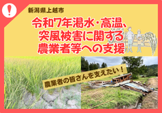 【新潟県上越市】農業者の皆さんを支えたい！令和7年渇水・高温、突風被害に関する農業者等への支援