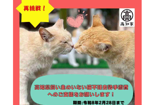 メインイメージ