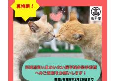 再チャレンジ！！人と猫が共に生きられる高知県を目指して －地域猫活動を通じて、人も猫も幸せな社会へ－