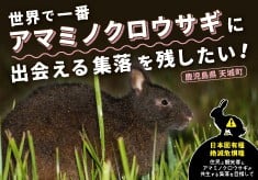 世界で一番アマミノクロウサギに出会える集落を残したい！ 【住民と観光客とアマミノクロウサギが共生する集落を目指して】
