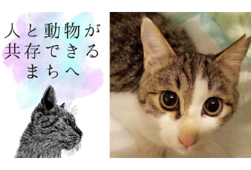 メインイメージ