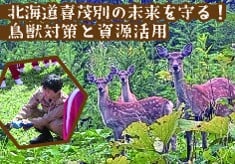 北海道喜茂別の未来を守る！鳥獣対策と資源活用