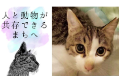 【第７弾】猫の命を守るTNRを推進し、人と動物が共存できるまちへ