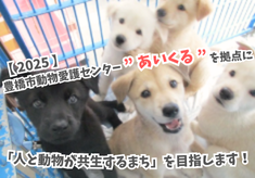 【2025】豊橋市動物愛護センター”あいくる”を拠点に「人と動物が共生するまち」を目指します！　