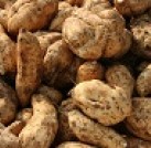 プロジェクトオーナー