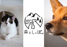 保護どうぶつが地域を元気に。「助けたい」と「癒やされたい」が出会う、新スタイルの動物福祉複合施設をつくりたい！