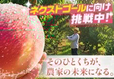 【ネクストゴールに向け挑戦中!!】10年後には桃が無くなる..！？　今ならまだ間に合います！消えゆく桃畑に、皆さまからのご支援を