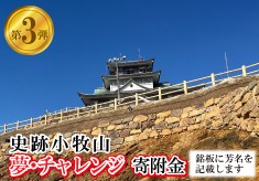 【第3弾】信長が築いた小牧山城の石垣があなたの応援で現代によみがえる　史跡小牧山　夢・チャレンジ寄附金
