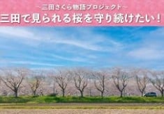 三田で見られる桜を守り続けたい！ー三田さくら物語プロジェクトー