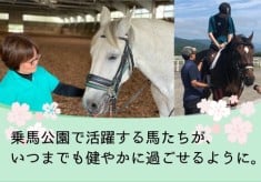 乗馬公園で活躍する馬たちが、いつまでも健やかに過ごせるように。