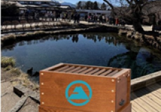 世界遺産構成資産「忍野八海」の未来を守るために「投げ込まれるコインを、環境保全協力箱へ」プロジェクト