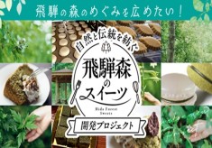 自然と伝統を紡ぐ飛騨森のスイーツ開発プロジェクト