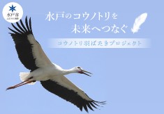 水戸のコウノトリを未来へつなぐ ｜コウノトリ羽ばたきプロジェクト｜第２弾