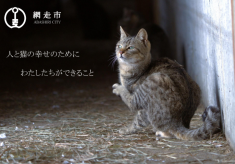 飼い主のいない猫を減らし人と猫が住みよいまちを目指して【不妊去勢手術費の支援】