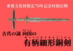 古代の謎　向国（むかつくに）の有柄細形銅剣特別公開