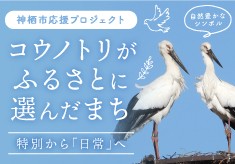 特別から「日常」へ コウノトリが「ふるさと」に選んだまち神栖応援プロジェクト