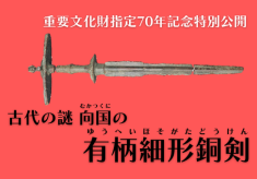 古代の謎　向国（むかつくに）の有柄細形銅剣特別公開