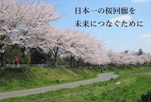 main_img