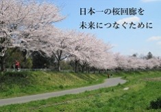 日本一の桜回廊を未来へつなぐために！！［第2弾］