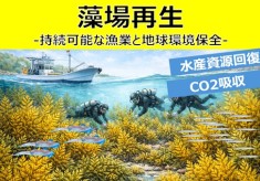 藻場を再生して水産資源回復とCO2吸収～持続可能な漁業と地球環境保全を目指して～