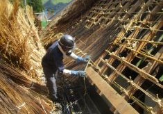 茅葺屋根の曲家が織りなす「生きている風景」を未来へとつなぐ【国重要伝統的建造物群保存地区・前沢曲家集落保存事業】