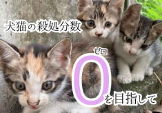 犬猫殺処分ゼロへ！ 【処分ゼロを目指す松前町の挑戦】