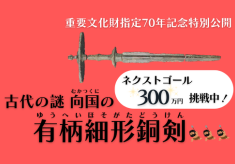 ＜ネクストゴール300万円に挑戦中＞古代の謎　向国（むかつくに）の有柄細形銅剣特別公開