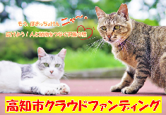 もう、ほおっちょけんニャ～。広げよう！人と動物をつなぐ支援の輪　高知市クラウドファンディング