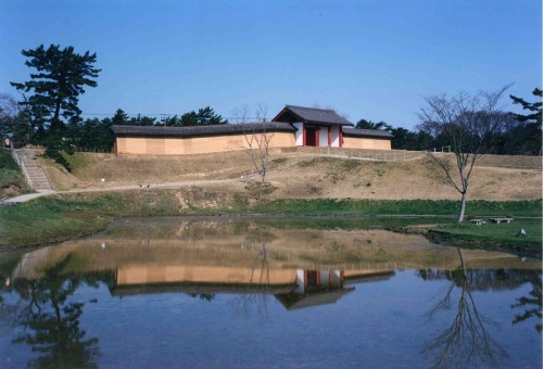 main_img