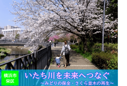 main_img