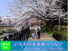 【第二弾】吉田兼好の歌にも詠まれた「いたち川」を未来へ ～栄区いたち川のみどりの保全・さくら並木の再生～