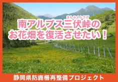 【寄付受付は6月12日10時から】南アルプス三伏峠のお花畑を復活させたい！～静岡県防鹿柵再整備プロジェクト～