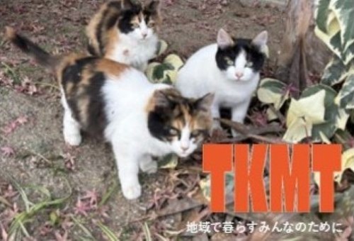 main_img