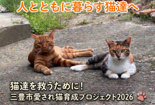 main_img