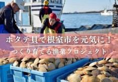 根室のほたてを全国へ！「つくり育てる漁業」プロジェクト