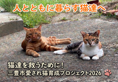 猫達を救うために！三豊市愛され猫育成プロジェクト2026