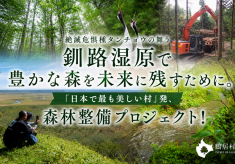 絶滅危惧種タンチョウの舞う釧路湿原で豊かな森を未来に残すために。「日本で最も美しい村」発、森林整備プロジェクト！
