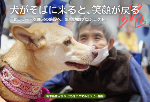 鹿沼市内施設へのアニマルセラピー無償訪問・市民啓発事業】セラピー犬