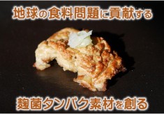 地球の食料問題に貢献する麹菌タンパク素材を創る