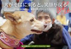 【鹿沼市内施設へのアニマルセラピー無償訪問・市民啓発事業】セラピー犬を鹿沼の施設へ。心ほどける時間を届けたい